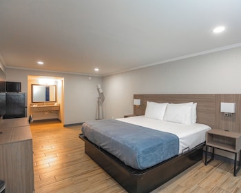 Deluxe Room, 1 King Bed, Non Smoking, Refrigerator & Microwave