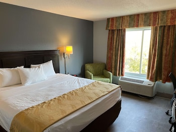 Standard Room, 1 King Bed, Accessible, Refrigerator & Microwave