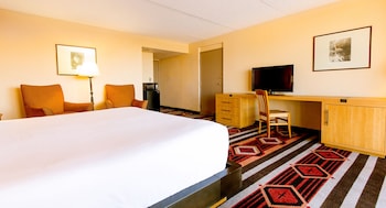 Traditional Room, 1 King Bed