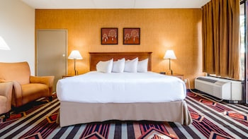 Junior Suite, Mountain View