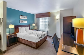Standard Room, 1 Queen Bed, Non Smoking