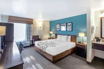 Standard Room, 1 King Bed, Non Smoking