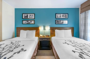 Standard Double Room, 2 Double Beds, Non Smoking