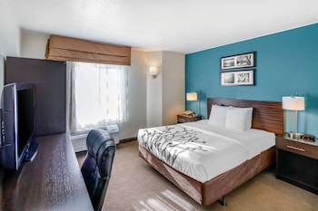 Standard Room, 1 Queen Bed, Accessible, Non Smoking