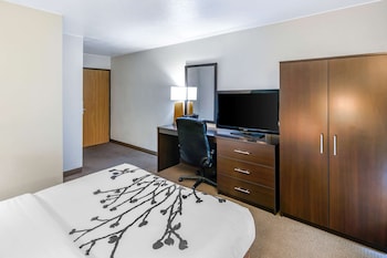 Standard Room, 1 Queen Bed, Accessible, Non Smoking