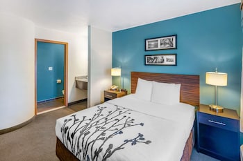 Standard Room, 1 Queen Bed, Non Smoking