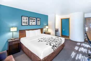 Standard Room, 1 King Bed, Non Smoking