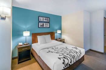Standard Room, 1 Queen Bed, Accessible, Non Smoking