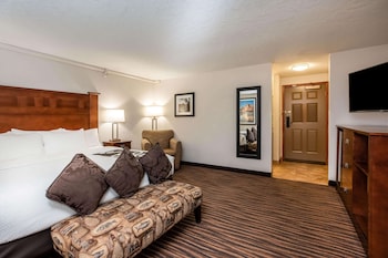 Deluxe Room, 1 King Bed, Non Smoking (Deluxe Executive Room)
