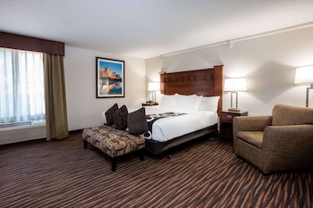 Deluxe Room, 1 King Bed, Non Smoking (Deluxe Executive Room)