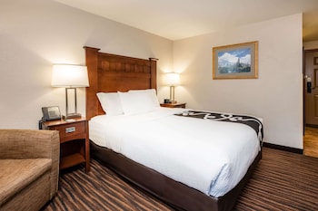Room, 1 King Bed, Accessible, Non Smoking (Mobility Accessible)