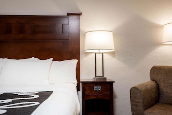 Room, 1 King Bed, Non Smoking