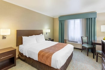 Basic Room, 1 Queen Bed, Accessible, Non Smoking