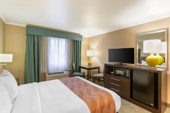 Basic Room, 1 Queen Bed, Accessible, Non Smoking