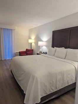 Standard Room, 1 King Bed