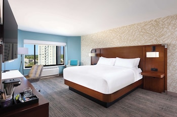 Room, 1 King Bed, Accessible (Mobility & Hearing, Roll-in Shower)