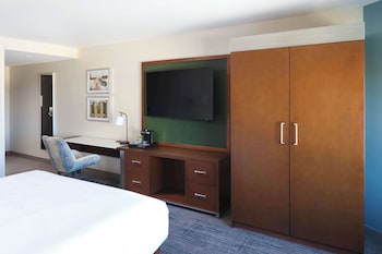 Room, 1 King Bed, Accessible (Mobility & Hearing, Roll-in Shower)