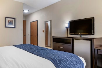 Room, 1 King Bed, Accessible, Non Smoking (Accessible Tub)