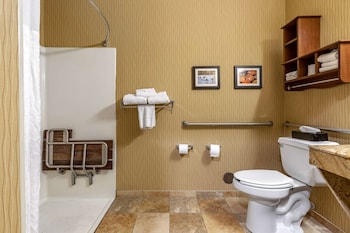 Room, 1 King Bed, Accessible, Non Smoking (Roll-In Shower)