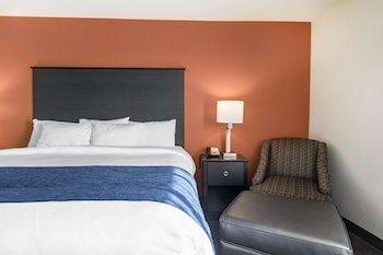 Standard Room, 1 King Bed, Non Smoking