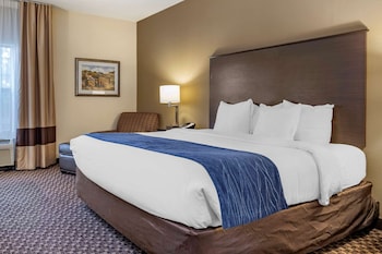 Room, 1 King Bed, Accessible, Non Smoking (Accessible Tub)
