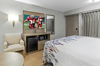 Deluxe Room, 1 King Bed, Mobility Accessible, Non Smoking (Roll-In Shower)