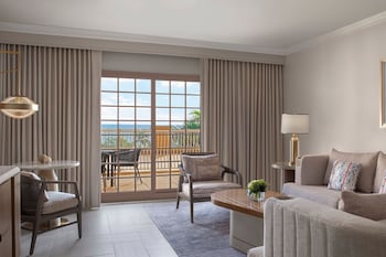 Suite, 1 Bedroom, Terrace