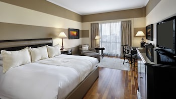 Premium Room, 1 King Bed, City View (High Floor)