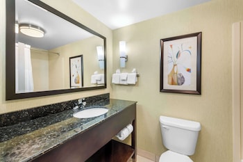 Suite, 1 King Bed with Sofa bed, Non Smoking