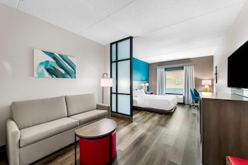 Suite, 1 King Bed with Sofa bed, Accessible, Non Smoking