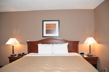 Standard Room, 1 King Bed, Non Smoking