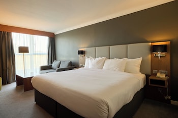 Standard Room, 1 King Bed with Sofa bed