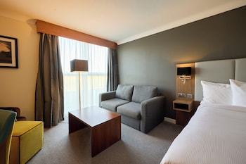 Standard Room, 1 King Bed with Sofa bed