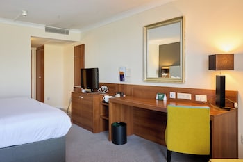 Standard Room, 1 King Bed with Sofa bed