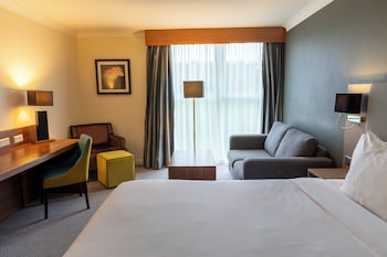 Standard Room, 1 King Bed with Sofa bed
