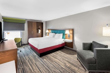 Room, 1 King Bed with Sofa bed