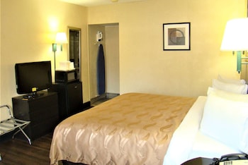 Suite, 1 King Bed, Non Smoking (1 Bedroom)