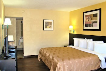 Suite, 1 King Bed, Non Smoking (1 Bedroom)