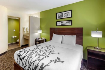 Standard Room, 1 Queen Bed, Non Smoking