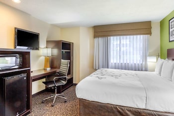 Room, 1 King Bed, Non Smoking (Efficiency Accessible)