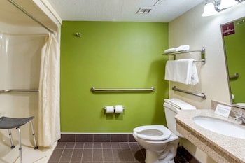 Room, 1 King Bed, Non Smoking (Efficiency Accessible)
