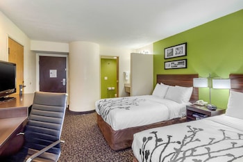 Standard Double Room, 2 Double Beds, Non Smoking