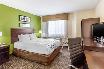 Standard Room, 1 Queen Bed, Non Smoking