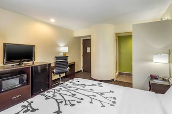 Standard Room, 1 Queen Bed, Non Smoking