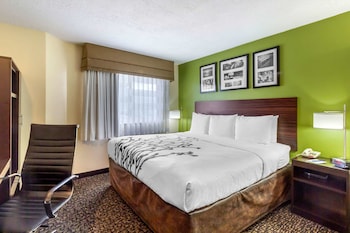 Room, 1 King Bed, Non Smoking (Efficiency Accessible)