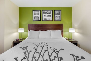 Room, 1 King Bed, Non Smoking (Efficiency Accessible)