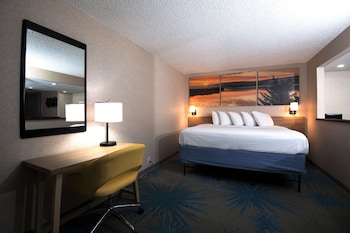 Deluxe Studio Suite, 1 King Bed, Non Smoking