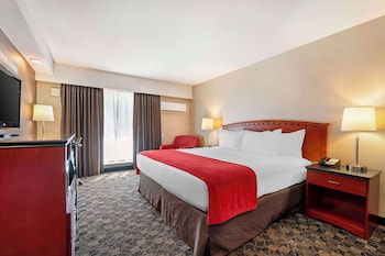 Standard Room, 1 King Bed, Accessible, Refrigerator