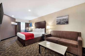 Standard Room, 1 King Bed with Sofa bed, Non Smoking, Kitchenette (with Sofabed)