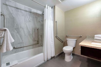 Standard Room, 1 King Bed, Accessible, Refrigerator